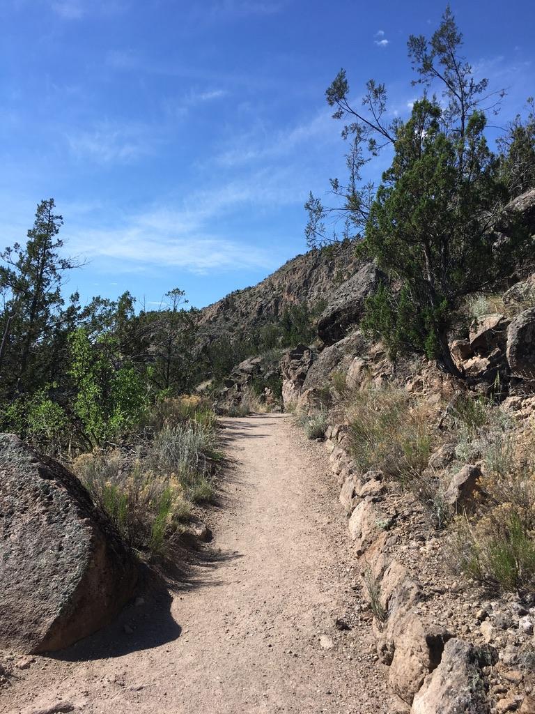 The Trail to Upper Falls