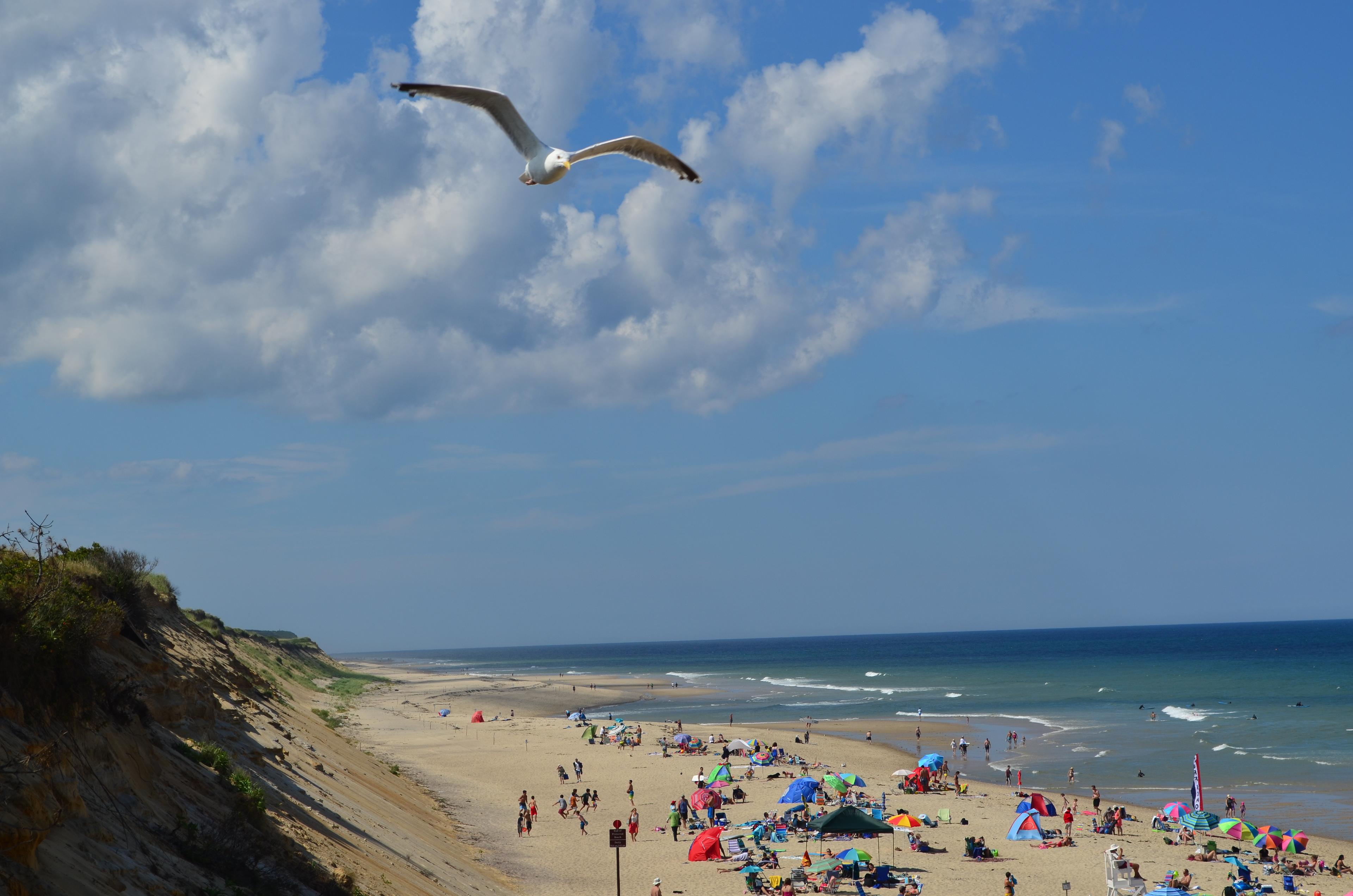 A crowd of people enjoy a wide sandy beach under light clouds and a blue sky.