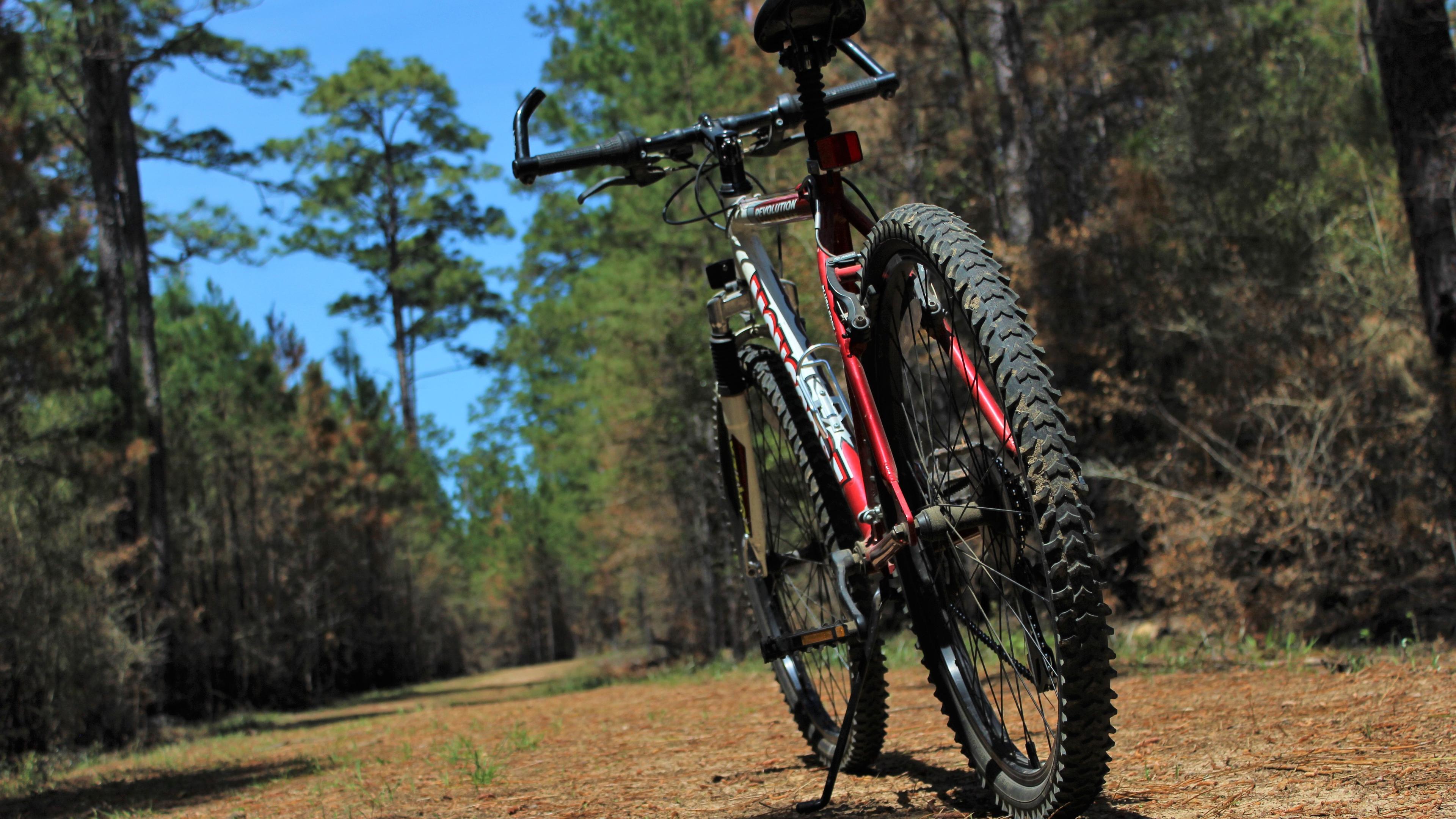 low angle view of a mountain bike on a trail in the forest