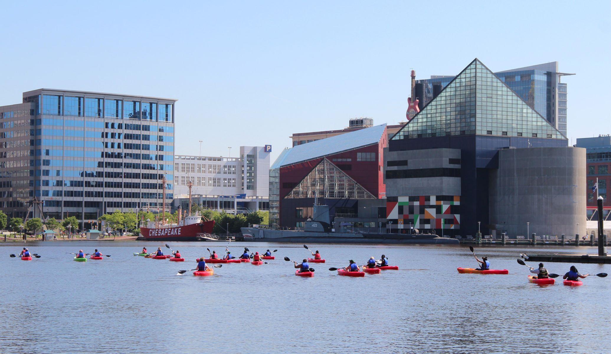People kayaking in the inner harbor of Baltimore City