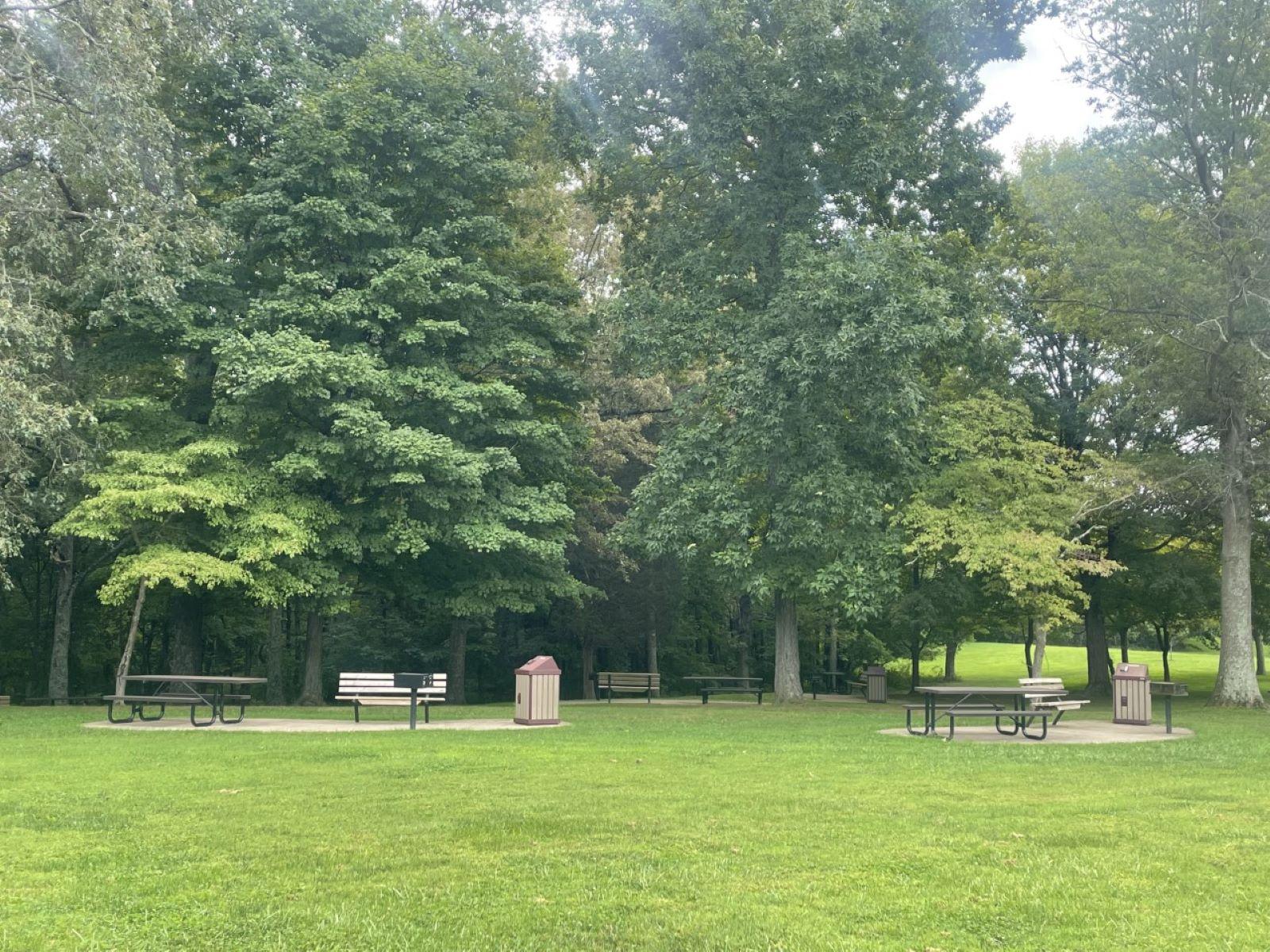 Picnic tables, on concrete pads, with grills and trash cans.