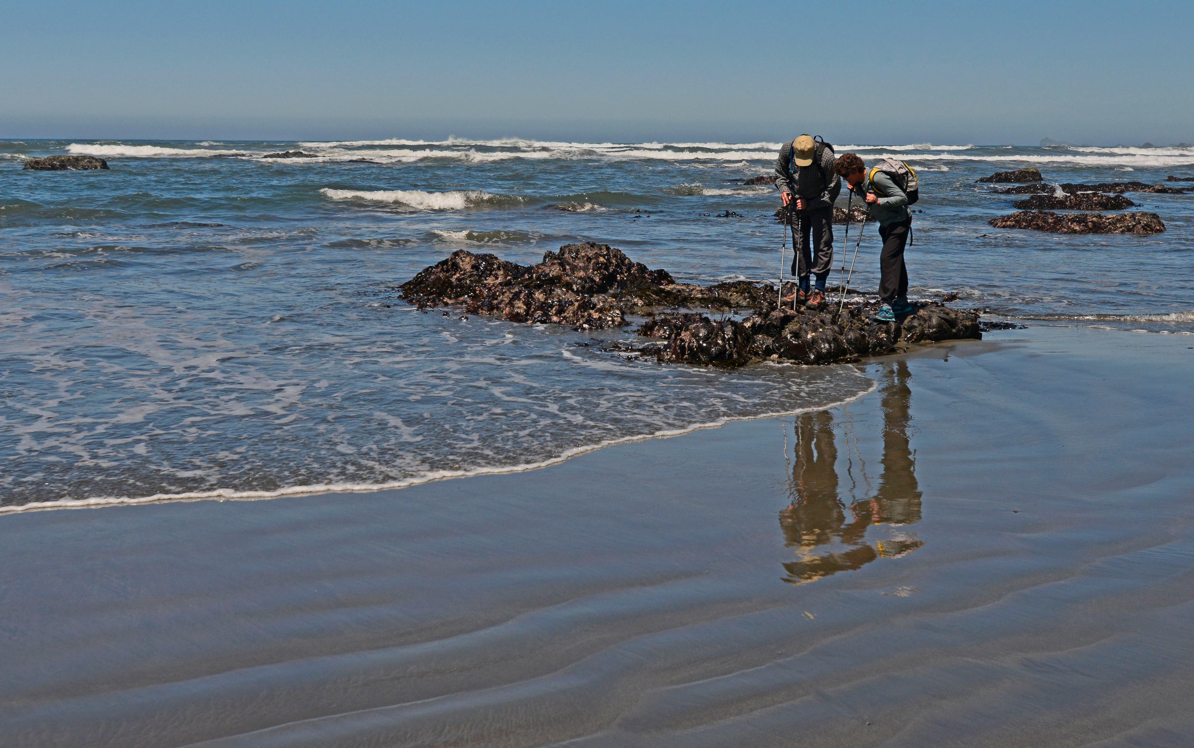 Two people gaze into a rocky tide pool. Waves swell towards the rocks.