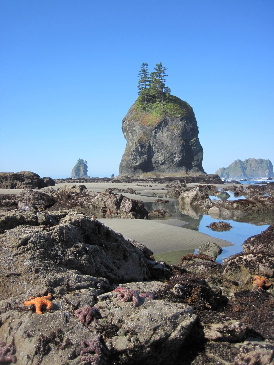 Olympic National Park