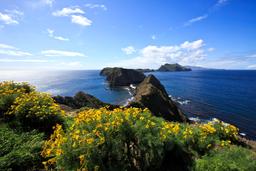 Steep, rugged ocean cliffs extending in an island chain.