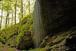 A cascade of water pours over a rock ledge. Green foliage is in the background.